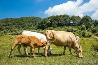 B费对阵西汉姆数据：送出2记关键传球，8次对抗2次成功